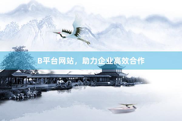 B平台网站，助力企业高效合作